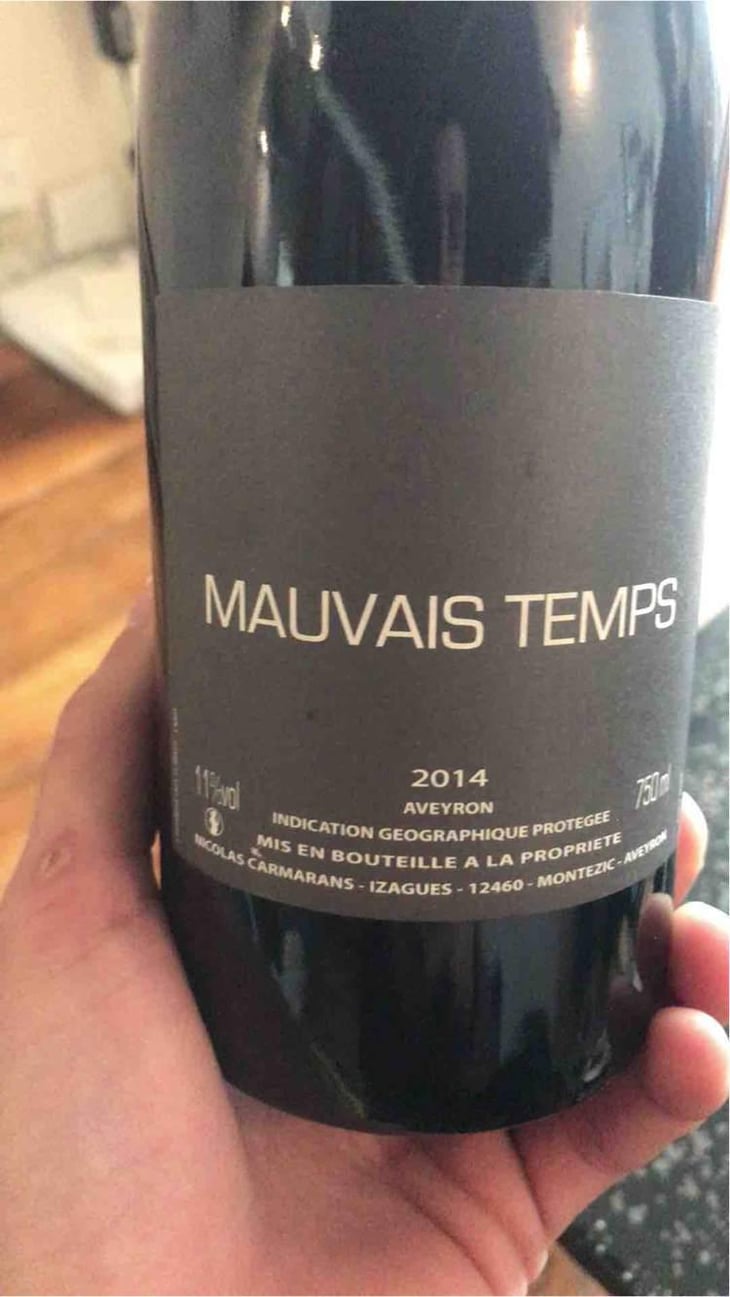 Mauvais Temps - Nicolas Carmarans - Nicolas Carmarans 