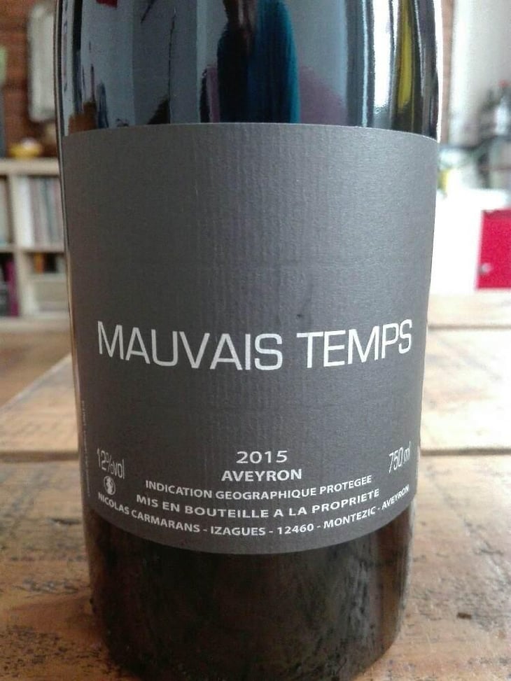 Mauvais Temps - Nicolas Carmarans - Nicolas Carmarans 