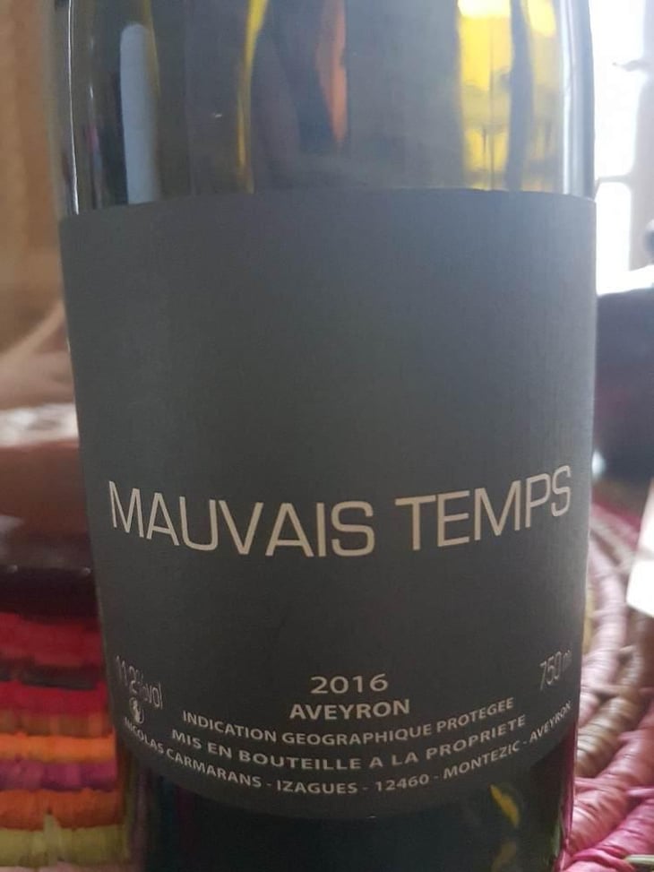 Mauvais Temps - Nicolas Carmarans - Nicolas Carmarans 