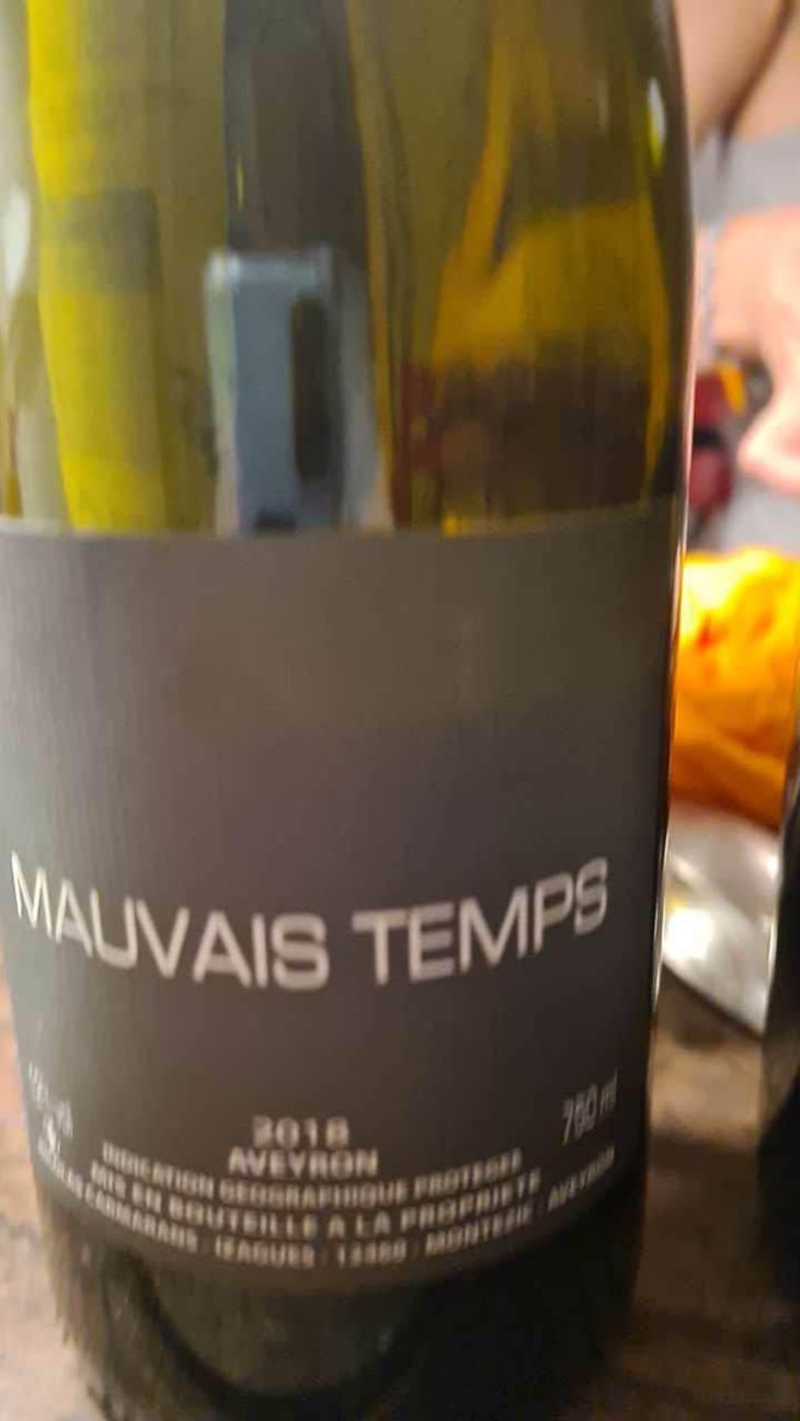 Mauvais Temps - Nicolas Carmarans - Nicolas Carmarans 