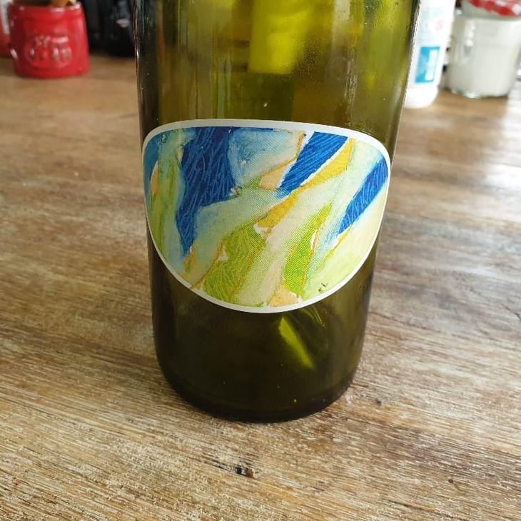 Mauzac Chenin - Domaine Sylvain Saux - Domaine Sylvain Saux 
