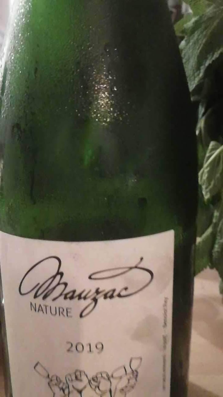Mauzac Nature - Domaine Plageoles - Bernard, Florent & Romain Plageoles 