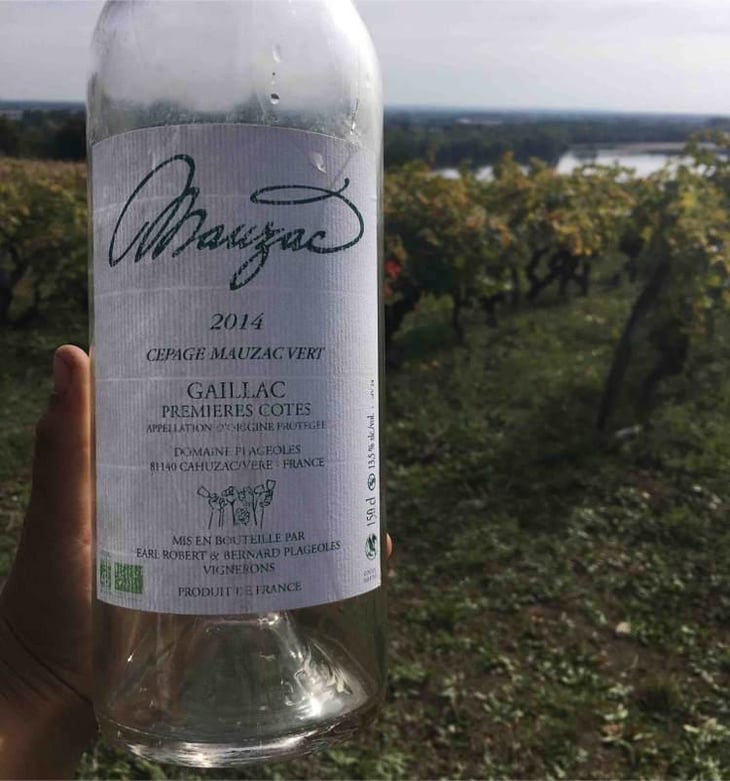 Mauzac Vert - Domaine Plageoles - Bernard, Florent & Romain Plageoles 