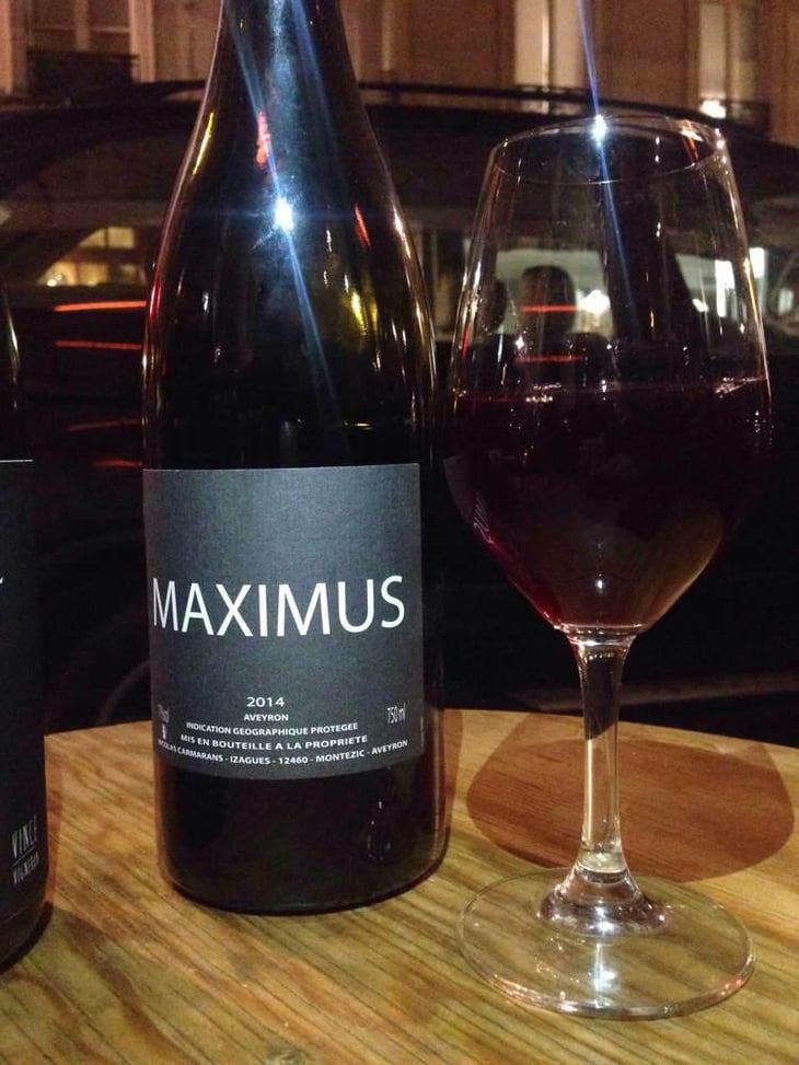 Maximus - Nicolas Carmarans - Nicolas Carmarans 