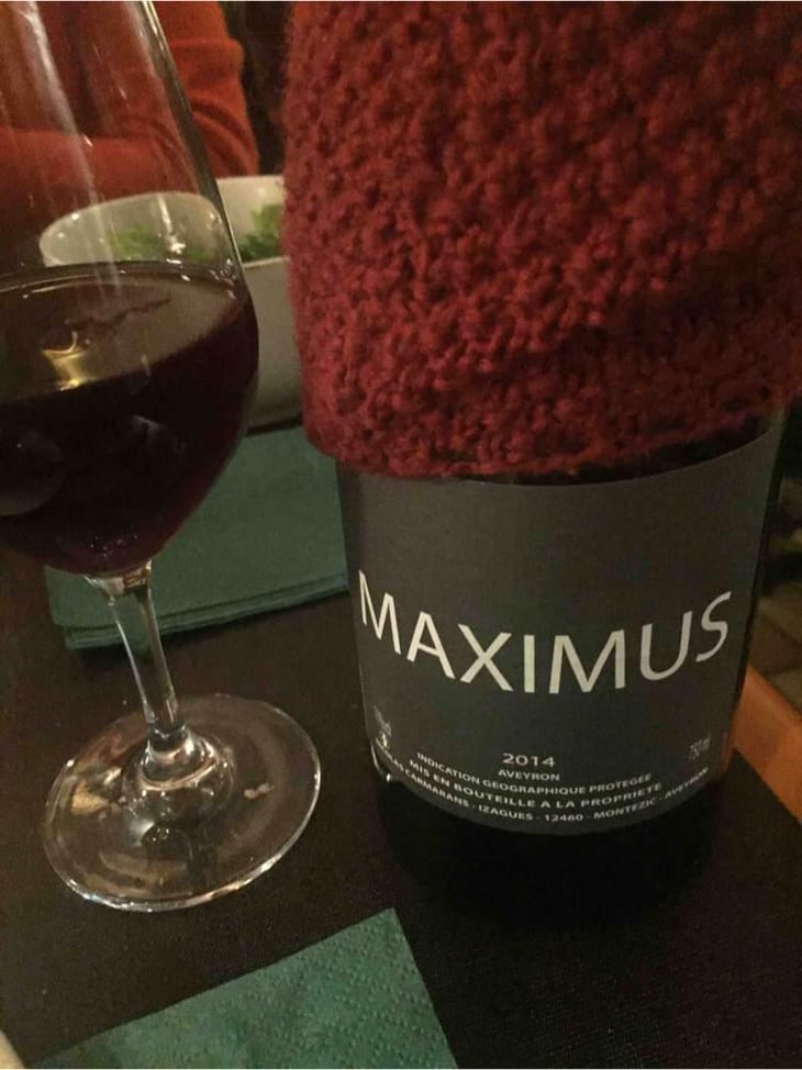Maximus - Nicolas Carmarans - Nicolas Carmarans 