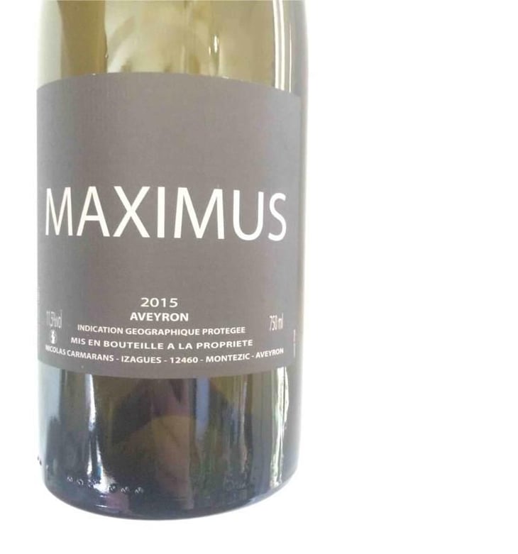 Maximus - Nicolas Carmarans - Nicolas Carmarans 