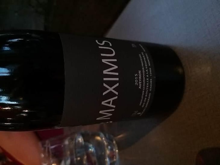 Maximus - Nicolas Carmarans - Nicolas Carmarans 