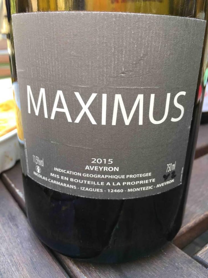 Maximus - Nicolas Carmarans - Nicolas Carmarans 