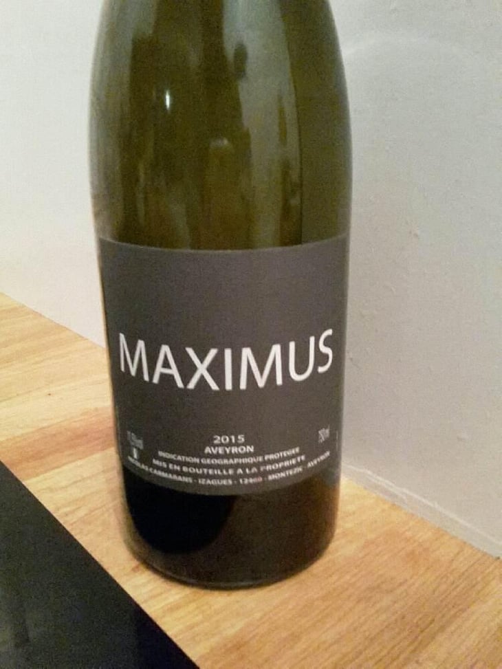 Maximus - Nicolas Carmarans - Nicolas Carmarans 
