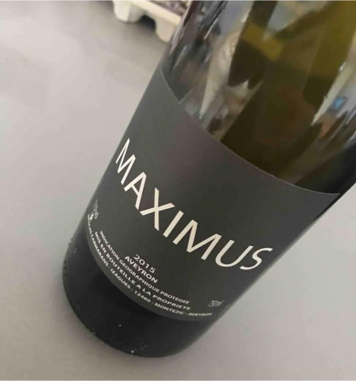 Maximus - Nicolas Carmarans - Nicolas Carmarans 