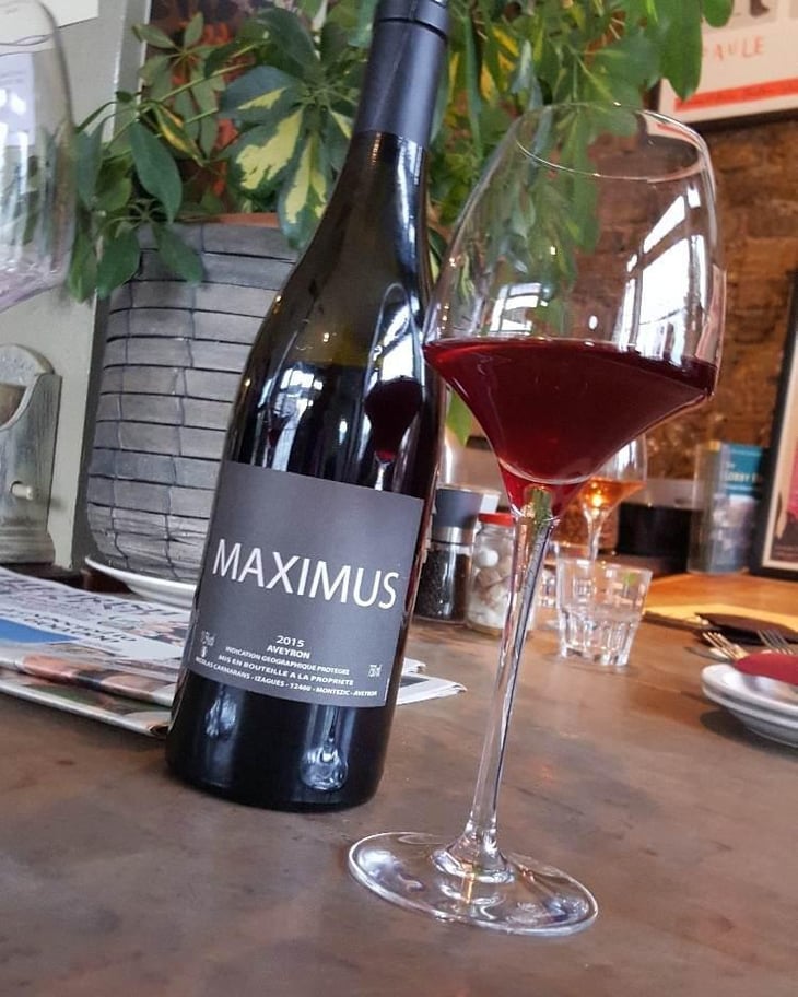 Maximus - Nicolas Carmarans - Nicolas Carmarans 