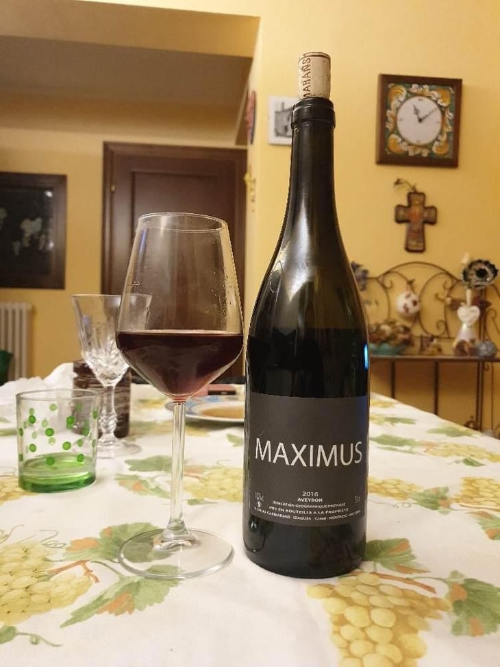 Maximus - Nicolas Carmarans - Nicolas Carmarans 