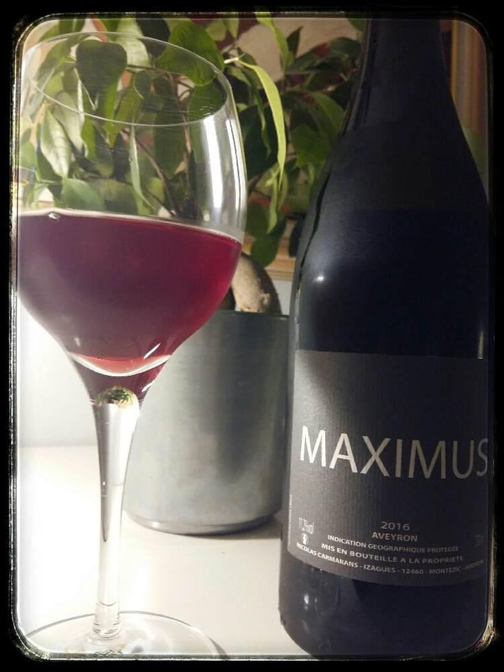 Maximus - Nicolas Carmarans - Nicolas Carmarans 