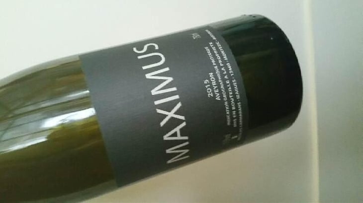 Maximus - Nicolas Carmarans - Nicolas Carmarans 