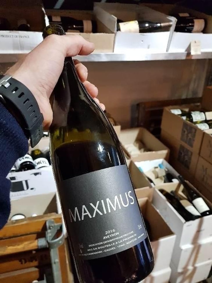 Maximus - Nicolas Carmarans - Nicolas Carmarans 