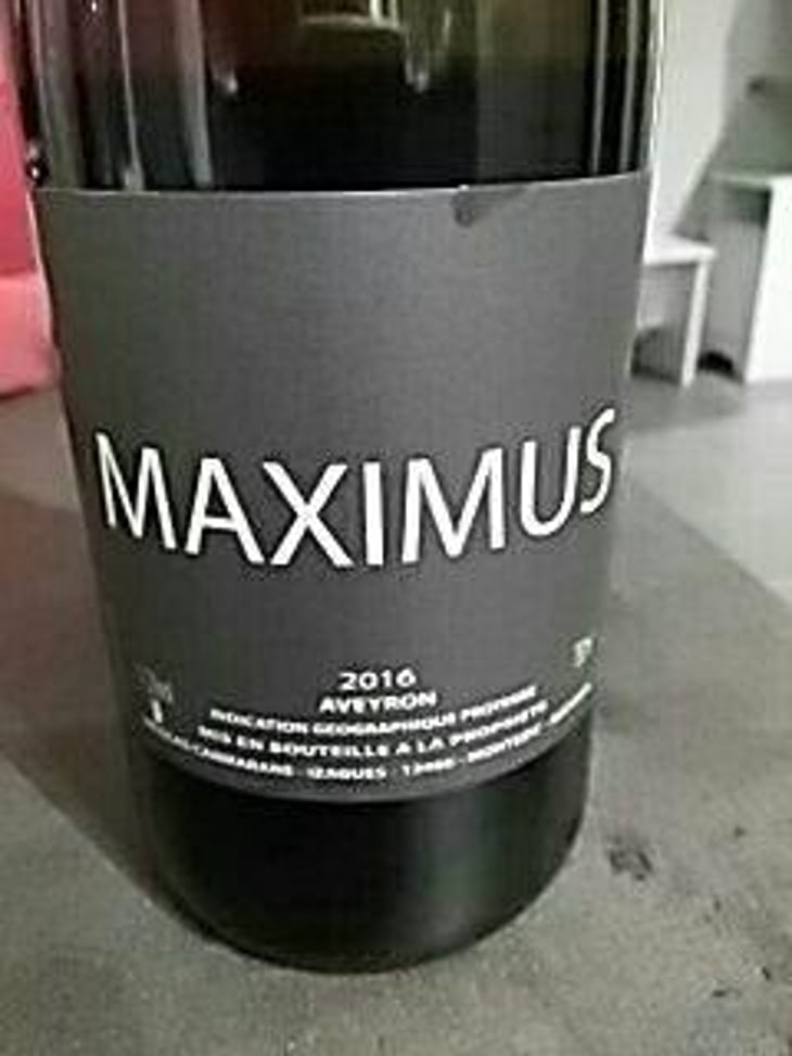 Maximus - Nicolas Carmarans - Nicolas Carmarans 