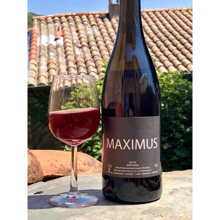 Maximus - Nicolas Carmarans - Nicolas Carmarans 