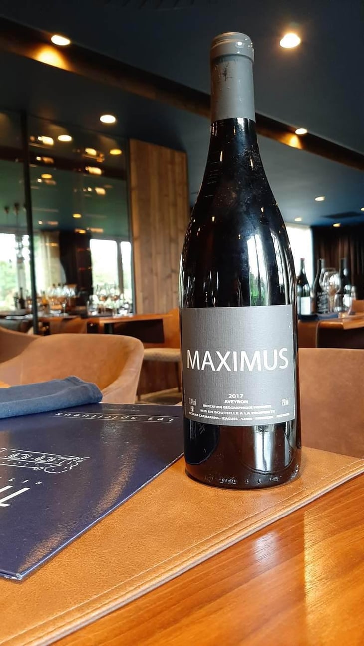 Maximus - Nicolas Carmarans - Nicolas Carmarans 