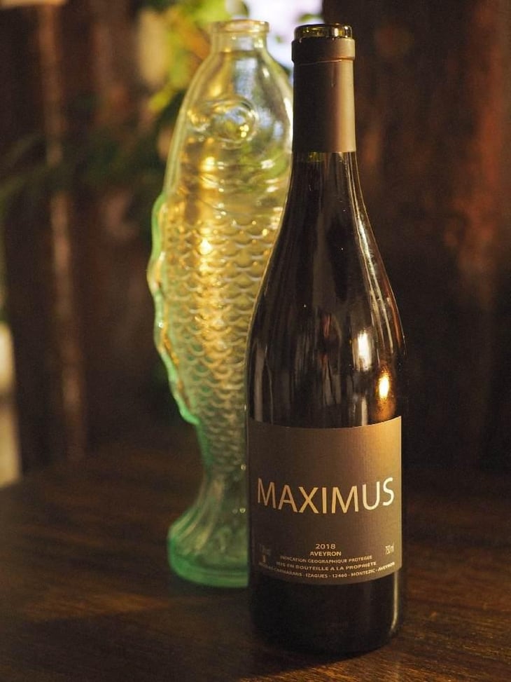 Maximus - Nicolas Carmarans - Nicolas Carmarans 