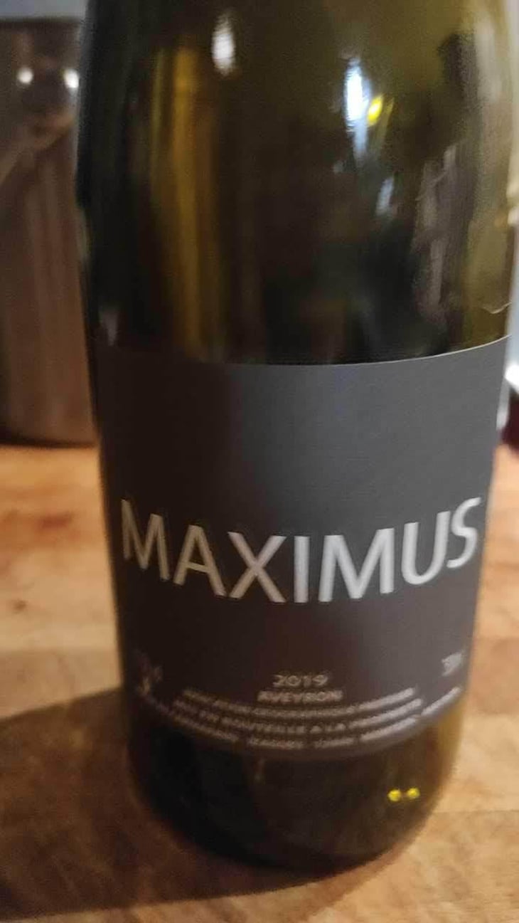 Maximus - Nicolas Carmarans - Nicolas Carmarans 