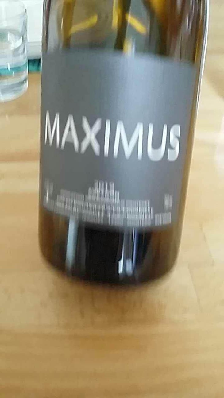 Maximus - Nicolas Carmarans - Nicolas Carmarans 