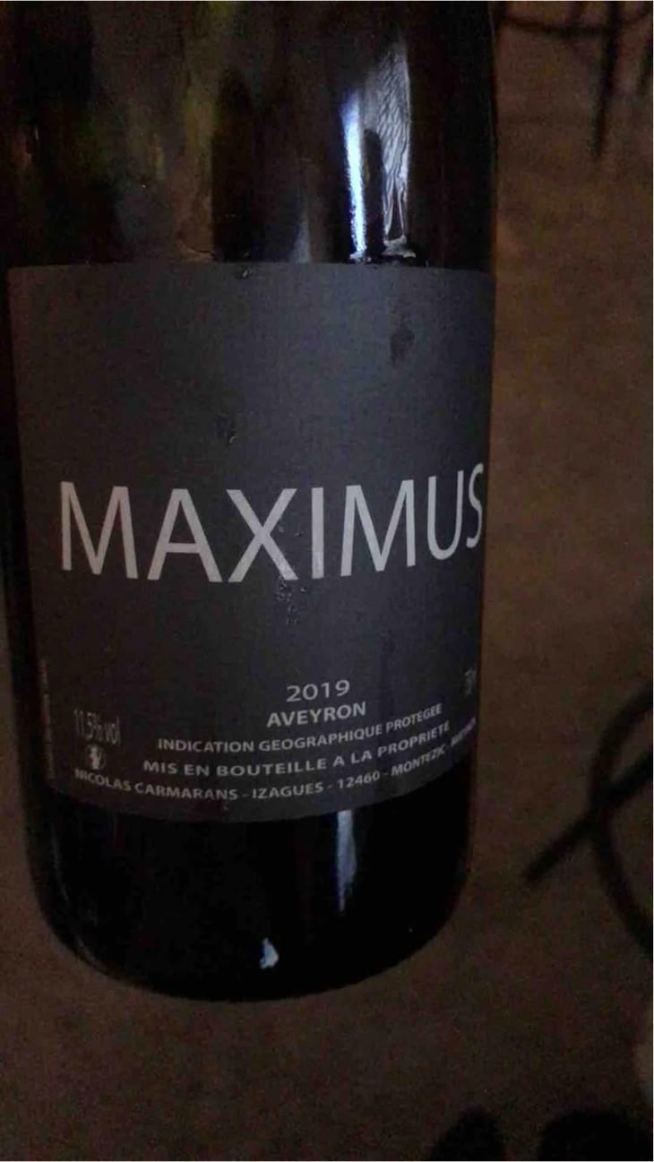 Maximus - Nicolas Carmarans - Nicolas Carmarans 
