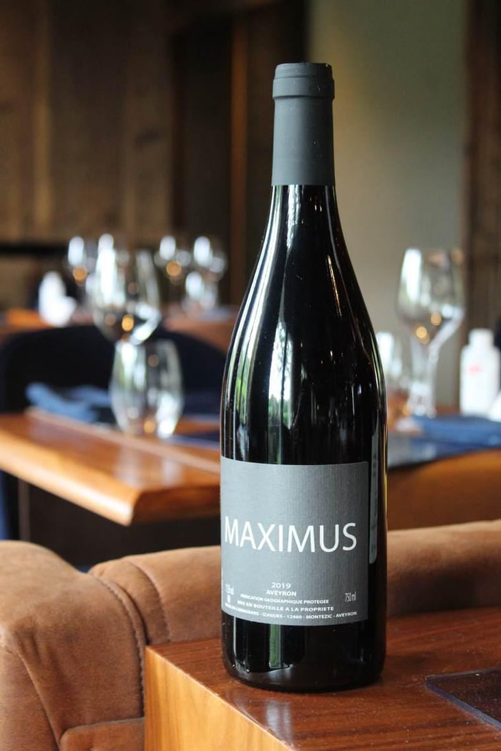 Maximus - Nicolas Carmarans - Nicolas Carmarans 