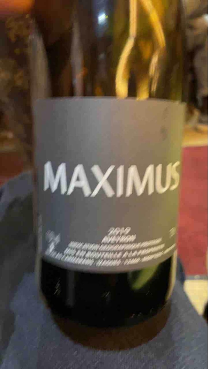 Maximus - Nicolas Carmarans - Nicolas Carmarans 
