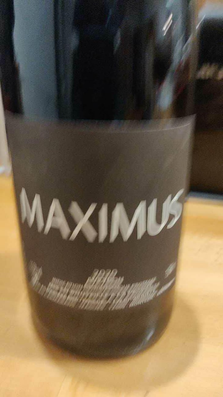 Maximus - Nicolas Carmarans - Nicolas Carmarans 