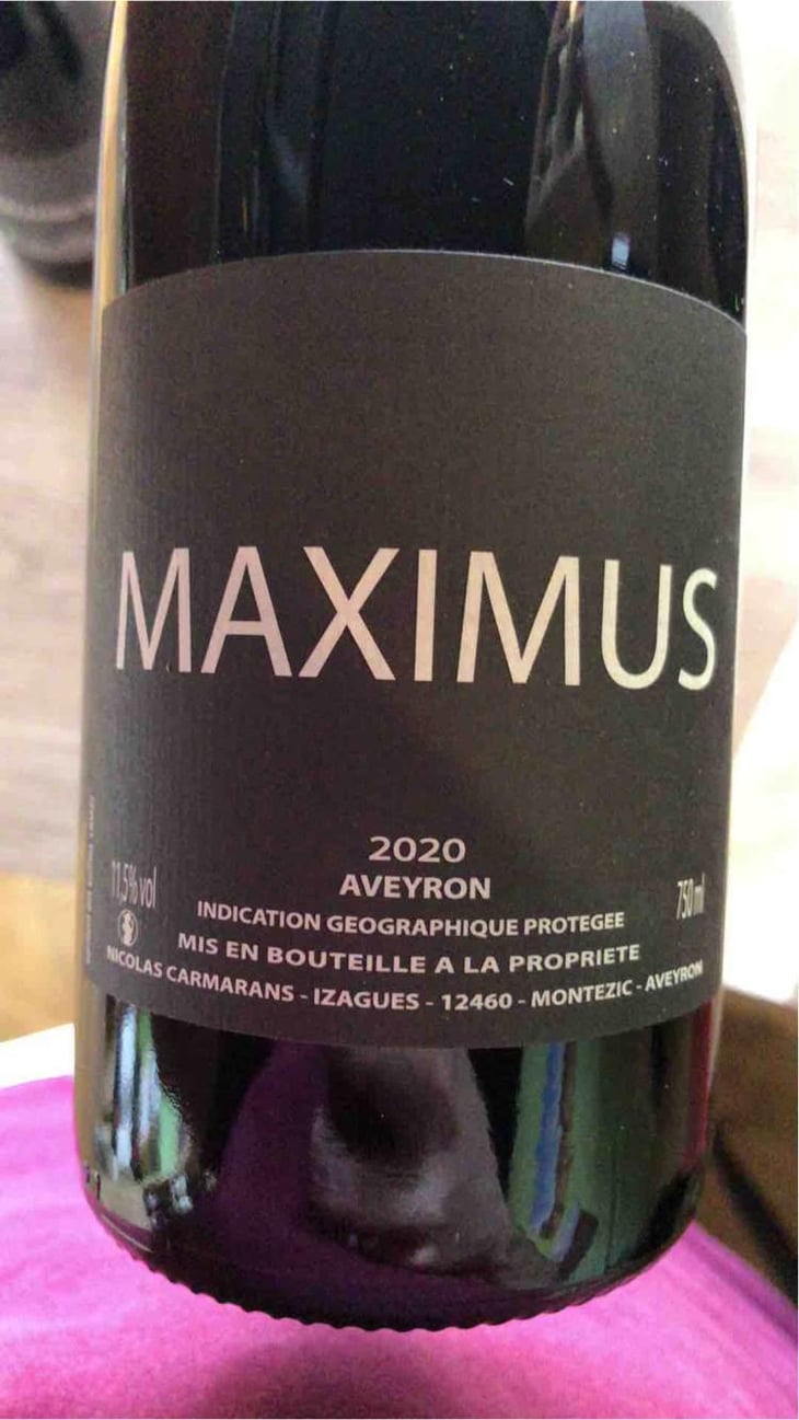 Maximus - Nicolas Carmarans - Nicolas Carmarans 