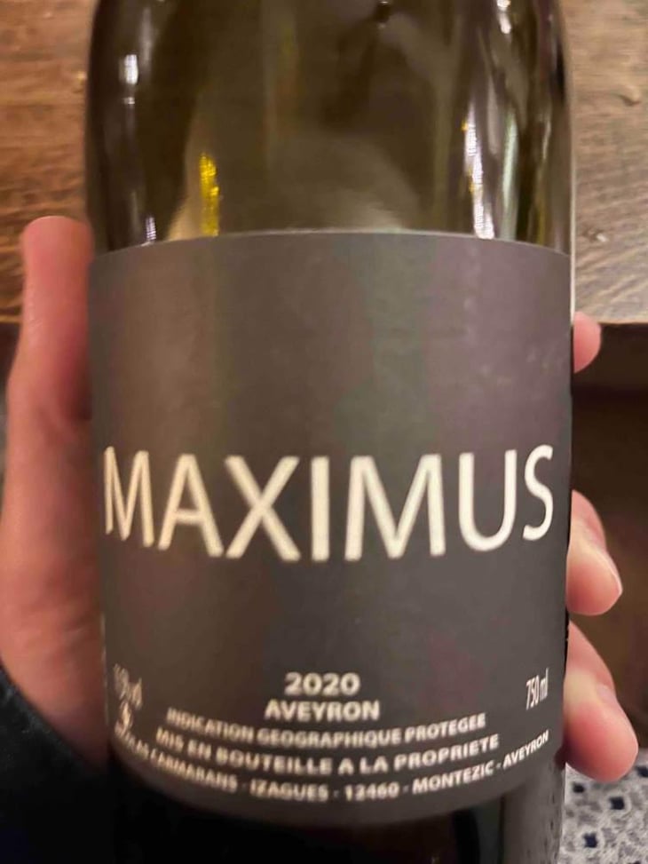 Maximus - Nicolas Carmarans - Nicolas Carmarans 