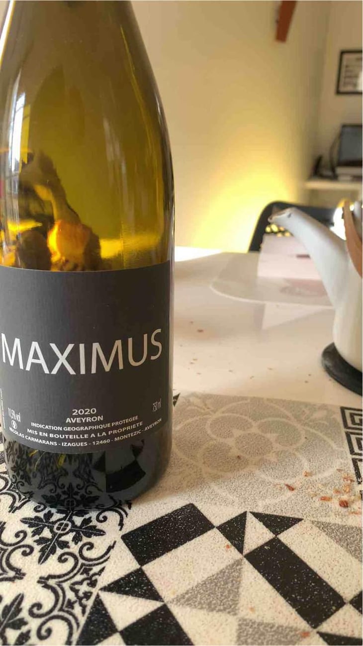 Maximus - Nicolas Carmarans - Nicolas Carmarans 