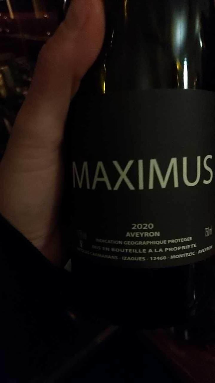 Maximus - Nicolas Carmarans - Nicolas Carmarans 