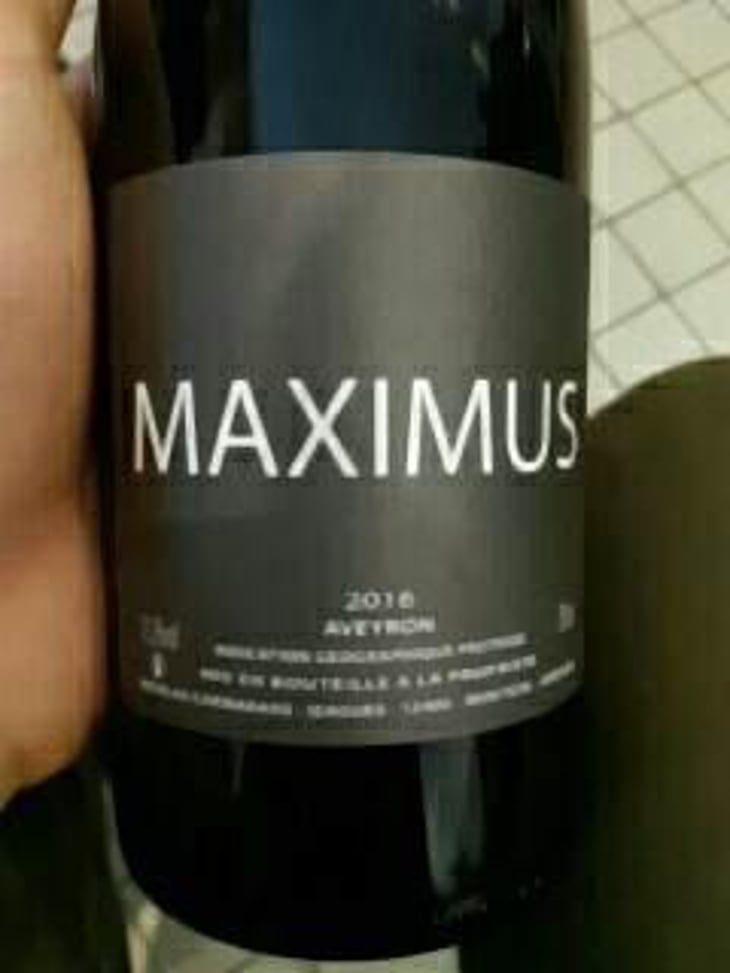 Maximus - Nicolas Carmarans - Nicolas Carmarans 