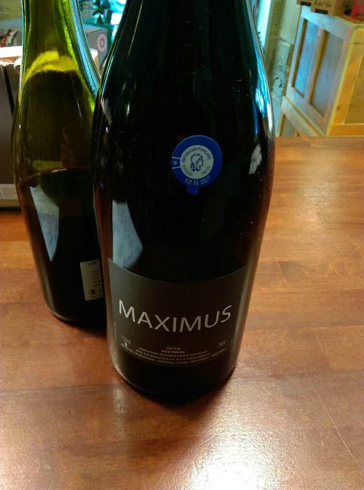 Maximus - Nicolas Carmarans - Nicolas Carmarans 