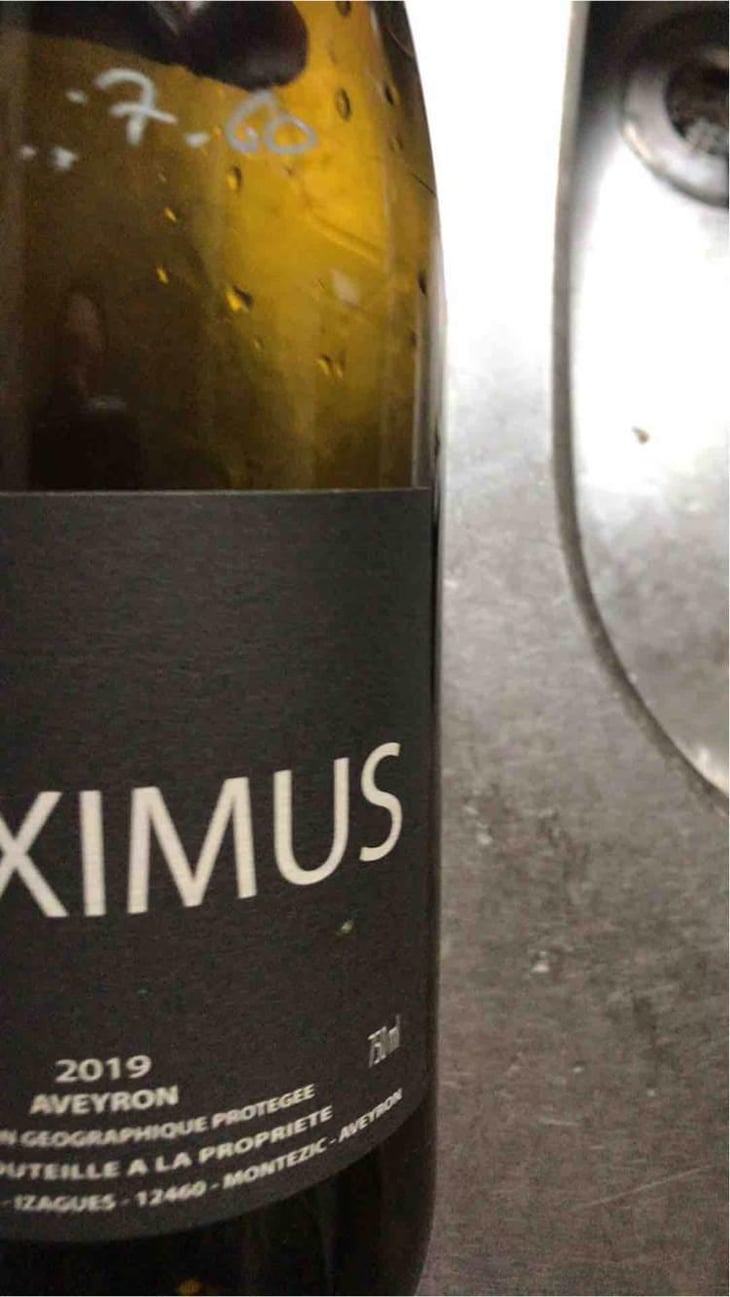Maximus - Nicolas Carmarans - Nicolas Carmarans 