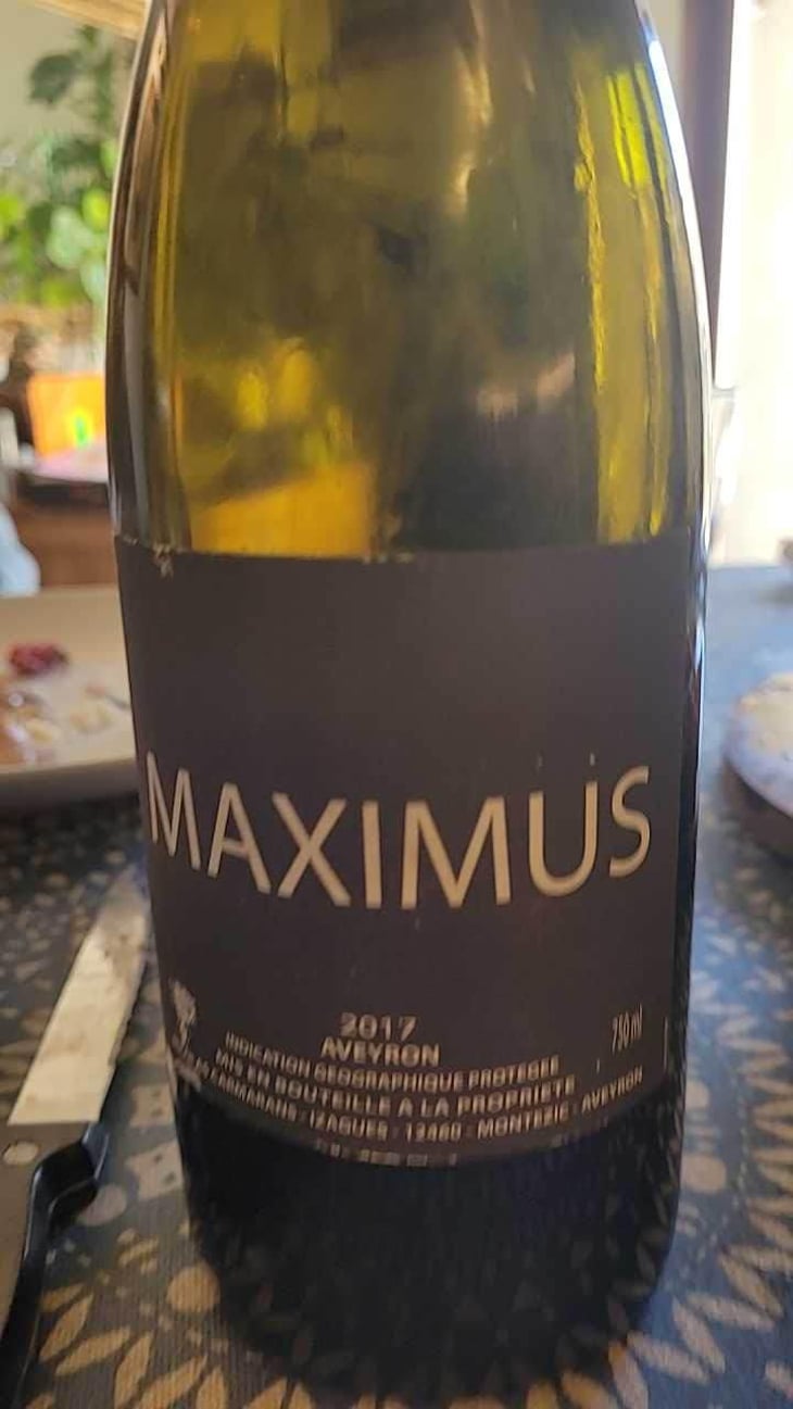 Maximus - Nicolas Carmarans - Nicolas Carmarans 