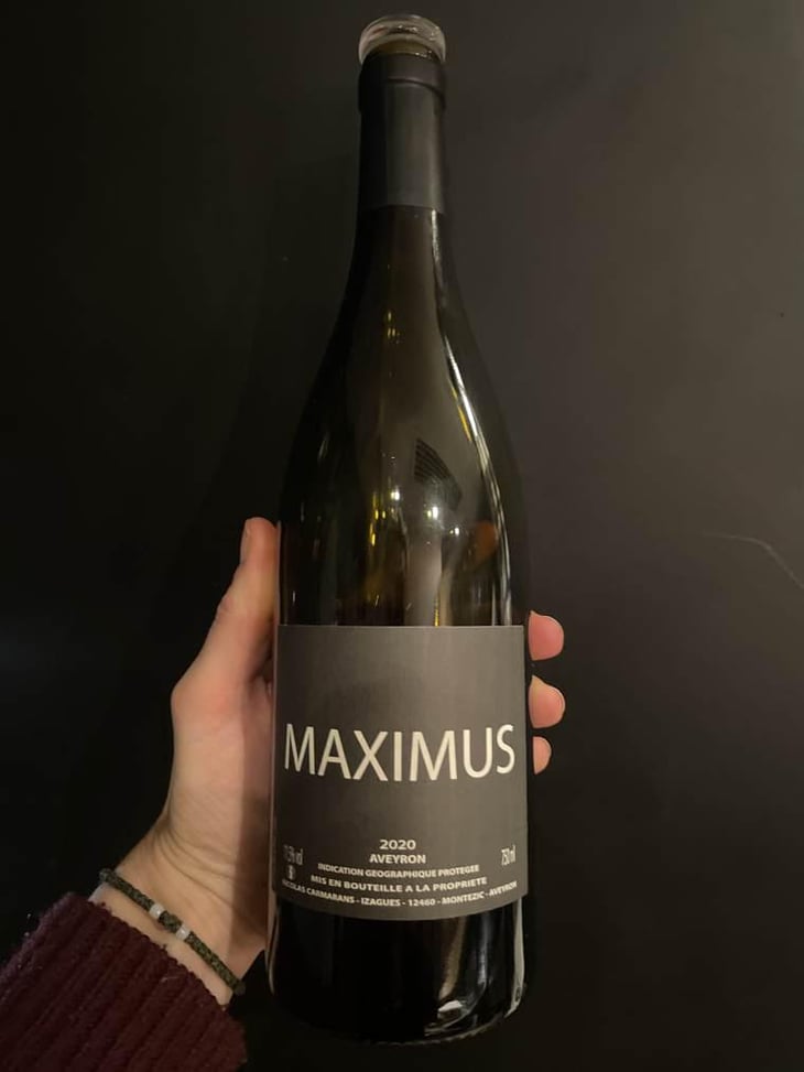 Maximus - Nicolas Carmarans - Nicolas Carmarans 
