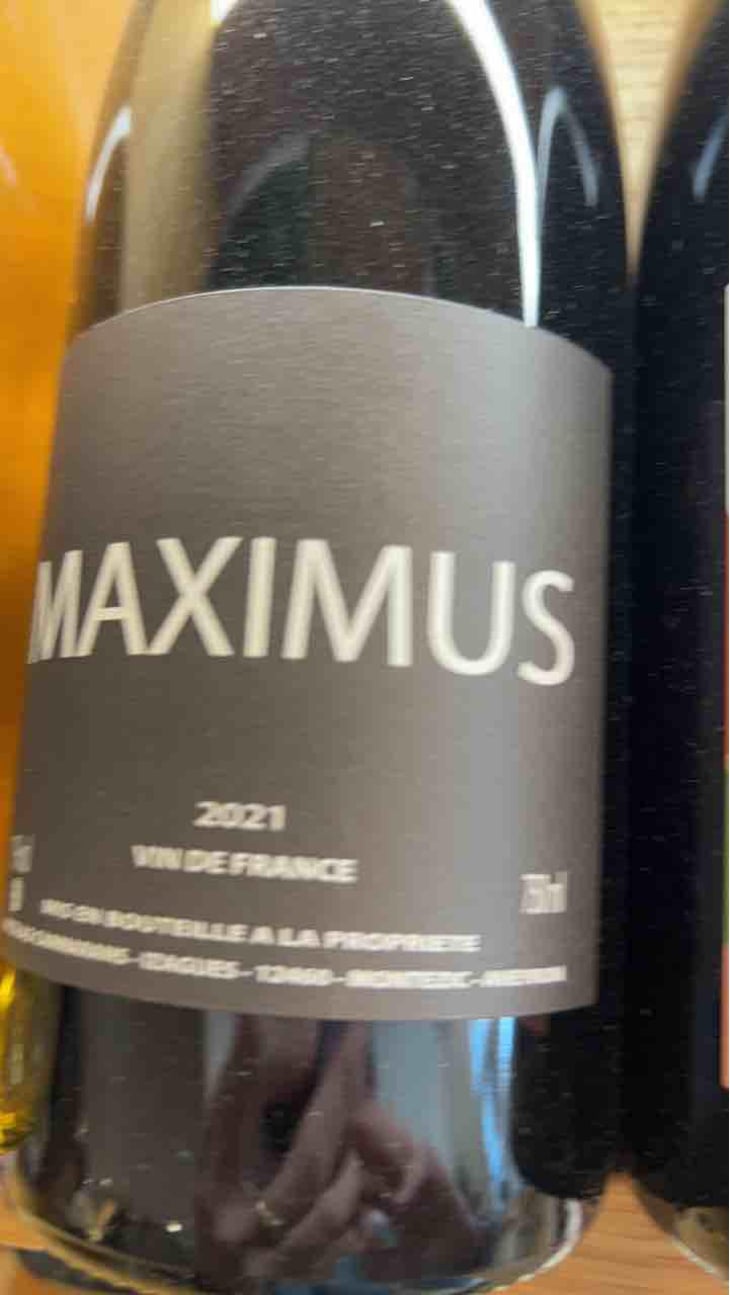 Maximus - Nicolas Carmarans - Nicolas Carmarans 