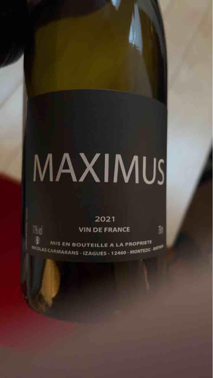 Maximus - Nicolas Carmarans - Nicolas Carmarans 