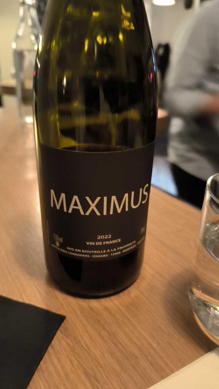 Maximus - Nicolas Carmarans - Nicolas Carmarans 