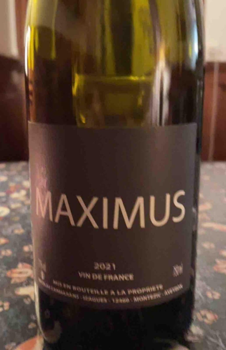 Maximus - Nicolas Carmarans - Nicolas Carmarans 