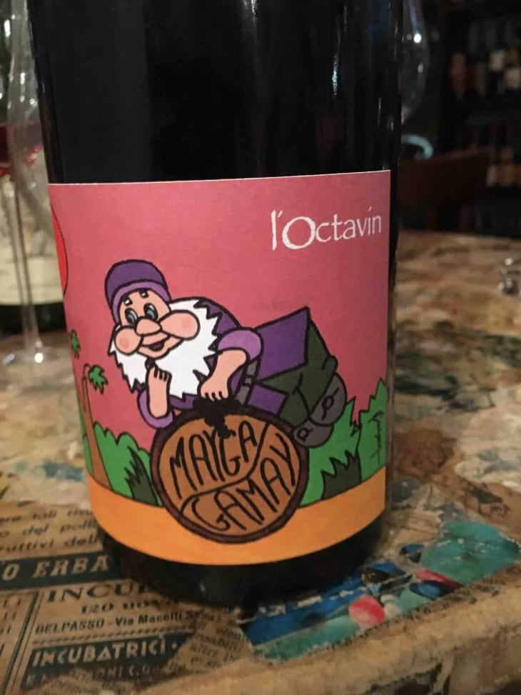 Mayga Gamay - Domaine de l'Octavin - Alice Bouvot 