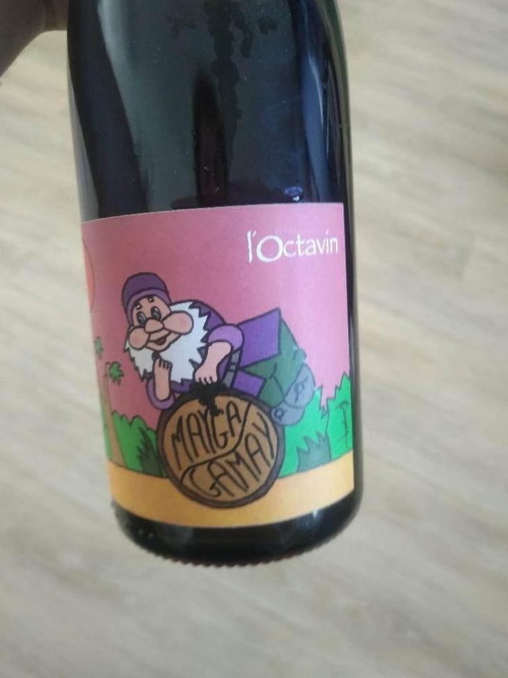 Mayga Gamay - Domaine de l'Octavin - Alice Bouvot 