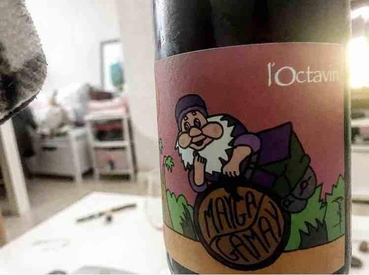 Mayga Gamay - Domaine de l'Octavin - Alice Bouvot 