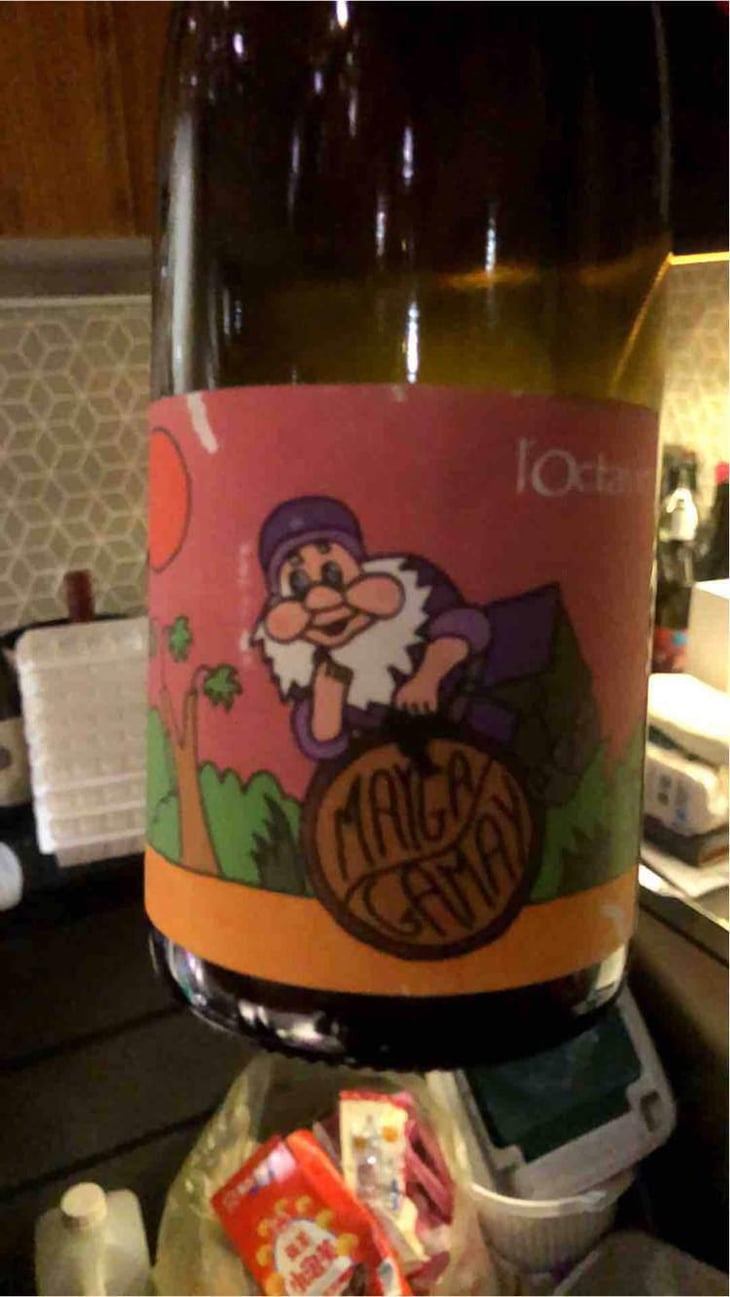 Mayga Gamay - Domaine de l'Octavin - Alice Bouvot 