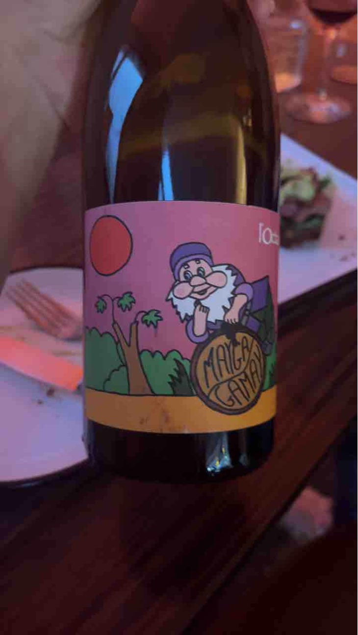 Mayga Gamay - Domaine de l'Octavin - Alice Bouvot 