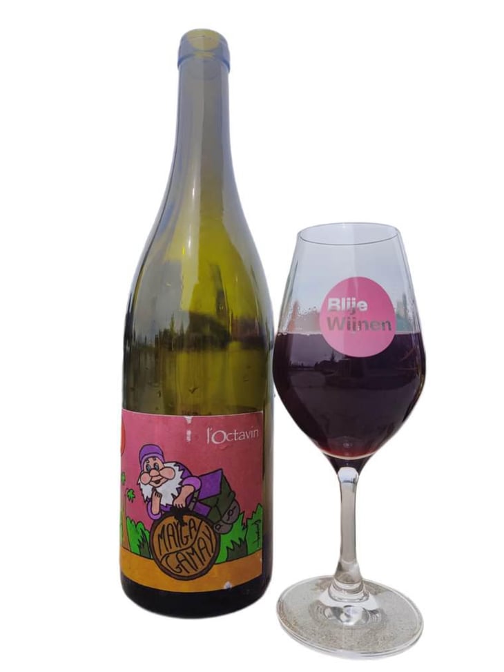 Mayga Gamay - Domaine de l'Octavin - Alice Bouvot 