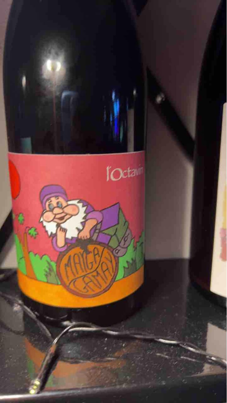 Mayga Gamay - Domaine de l'Octavin - Alice Bouvot 