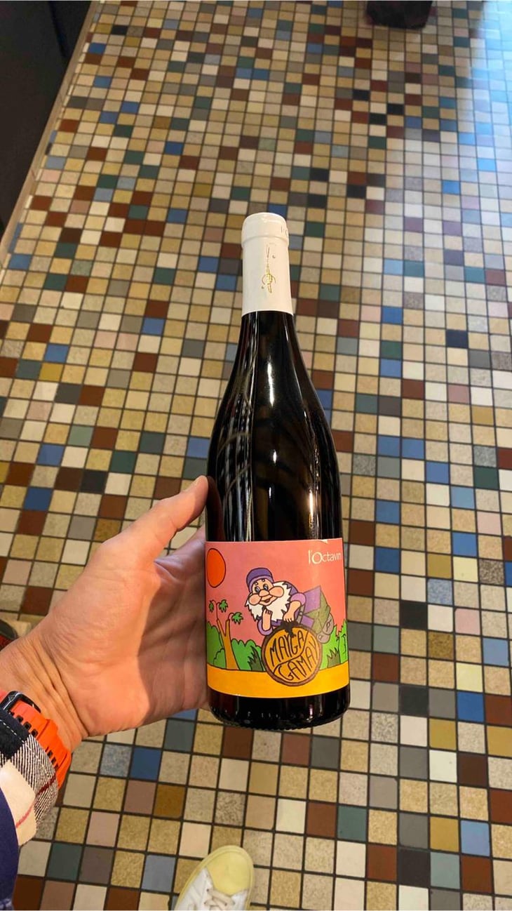 Mayga Gamay - Domaine de l'Octavin - Alice Bouvot 